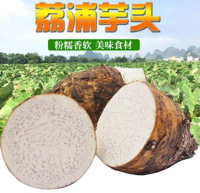 荔浦芋頭新鮮現挖當季香芋新鮮廣西檳榔紫藤芋頭1斤/3斤/5斤/9斤
