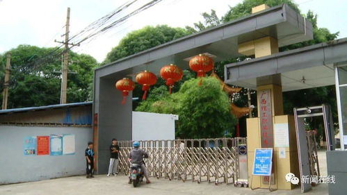 廣西一高校要求學生賣20箱芒果,銷量不好可能畢不了業