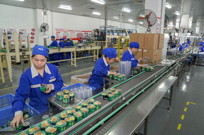 中恒集團門戶網站