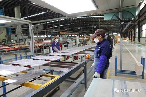 藤縣已有46家企業復工復產