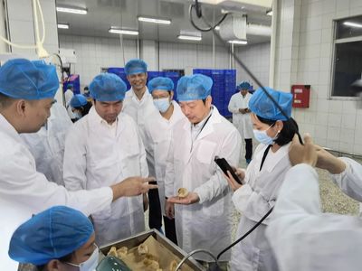 楊綠峰調研玉林數字化轉型發展情況