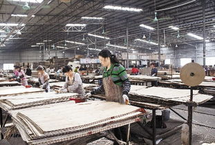 廣西震鑠木業產品長期穩定暢銷全國各地