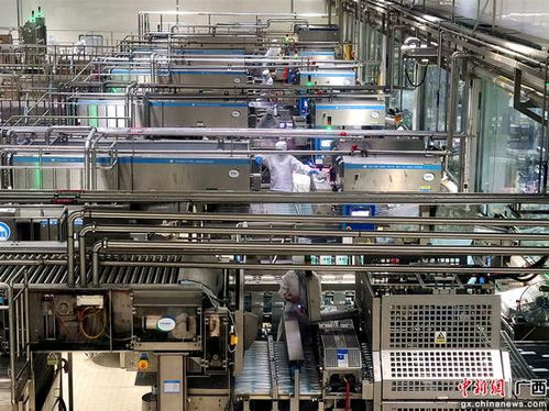 廣西 東盟經開區 企業鉚足干勁 力爭 開門紅