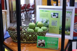 地方特色產品走向全國之路