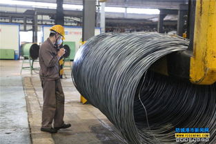 港口區經濟發展 穩中有進 凸顯 五個新 亮點