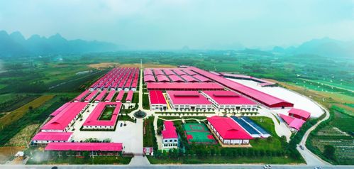 貓千歲 健全 電商基因 走俏網絡