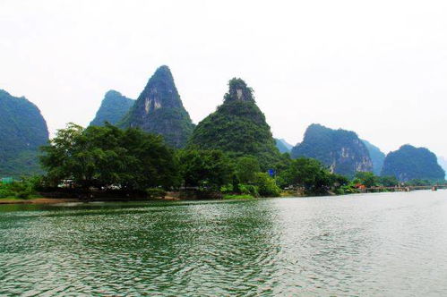 打卡廣西最大農莊,吃陽朔網紅啤酒魚