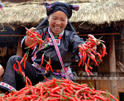 豐收喜悅-廣西新聞網