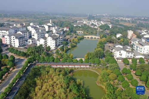 振興鄉(xiāng)村生態(tài)美，廣西南寧繪就綠色發(fā)展新畫卷